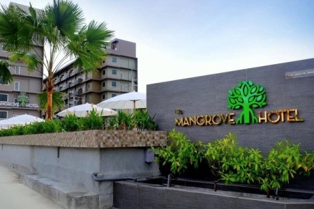 The Mangrove - 6