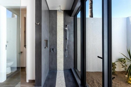 Tropical Attitude - 25