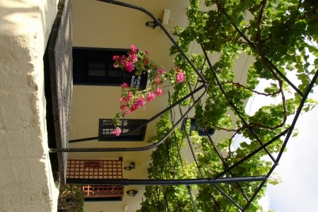 Summerland Hotel & Bungalows - 7