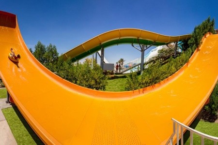 Jaz Neo Saraya Palms - 34