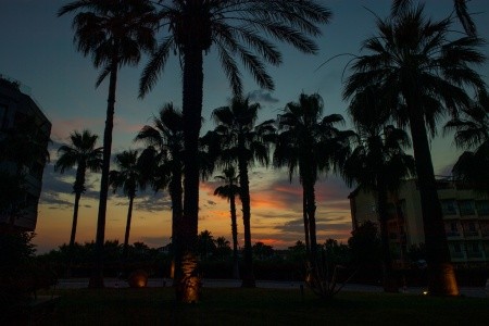 Miramare Queen & Beach - 16