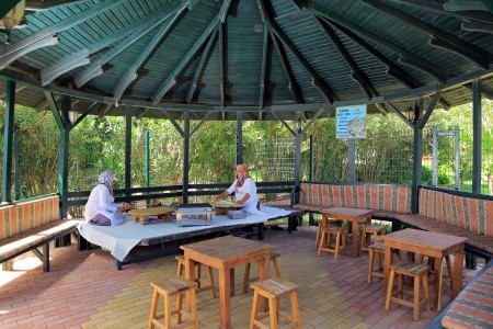 Caretta Relax (Ex. Xeno Relax) - 34