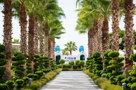 Rubi Platinum Spa Resort & Suites - 7