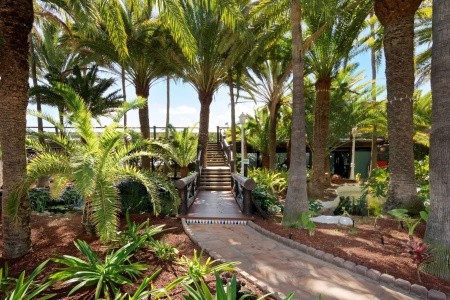 Parque Tropical - 10