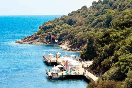 Paloma Pasha Resort - 28