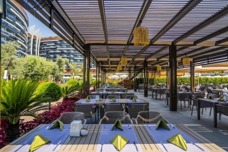 Kirman Calyptus - 40