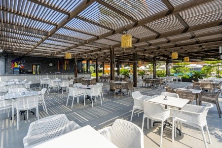 Kirman Calyptus - 54