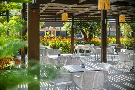 Kirman Calyptus - 55