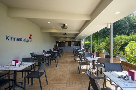 Kirman Calyptus - 56