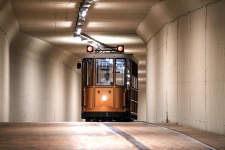 Kirman Calyptus - 68