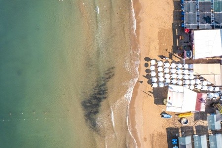 Kirman Calyptus - 70