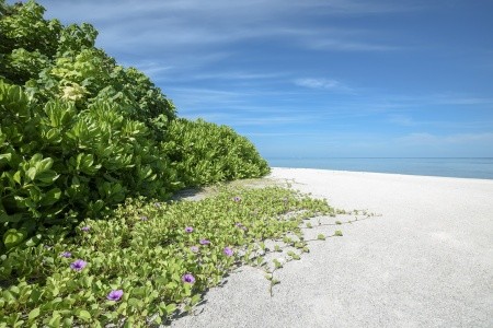Makunudu Resort (Makunudhoo) - 23