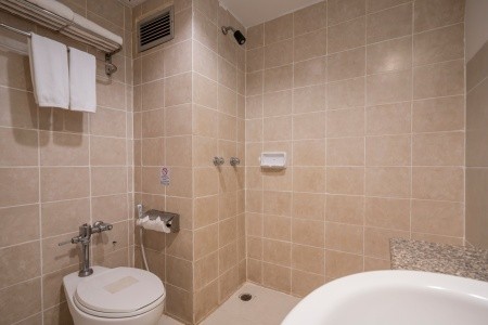 Sunshine Garden - 26