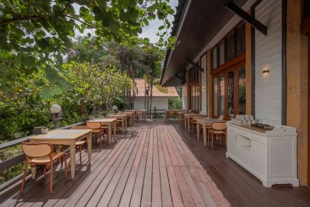 Sunshine Garden - 40