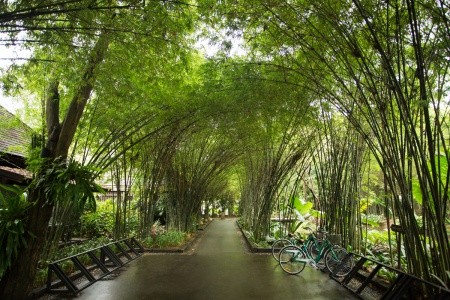 Anantara Mai Khao Phuket Villas - 3