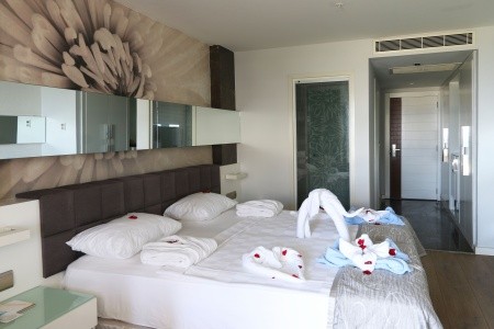 Lonicera West (Ex.gold Island Mondo) - 9