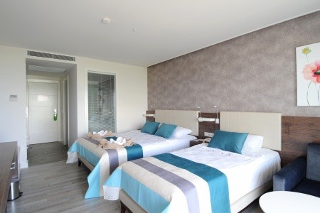 Lonicera West (Ex.gold Island Mondo) - 16