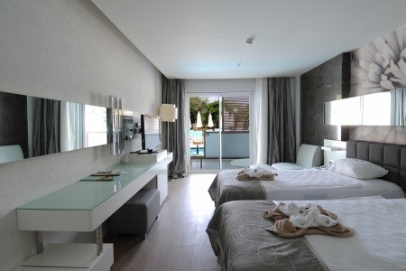 Lonicera West (Ex.gold Island Mondo) - 30