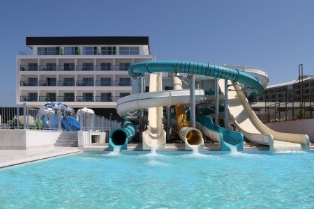 Lonicera West (Ex.gold Island Mondo) - 36