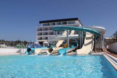 Lonicera West (Ex.gold Island Mondo) - 37