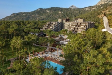 Balmy Foresta (Ex. Paloma Foresta) - 2