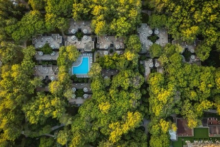 Balmy Foresta (Ex. Paloma Foresta) - 3