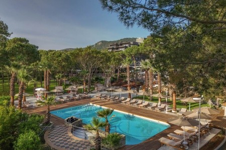 Balmy Foresta (Ex. Paloma Foresta) - 4