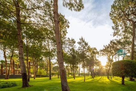 Balmy Foresta (Ex. Paloma Foresta) - 5