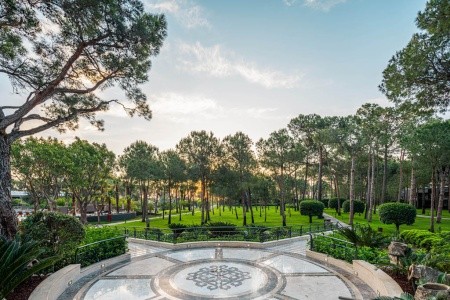 Balmy Foresta (Ex. Paloma Foresta) - 7