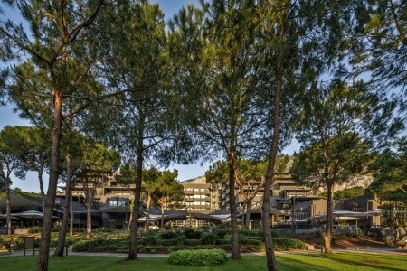 Balmy Foresta (Ex. Paloma Foresta) - 8