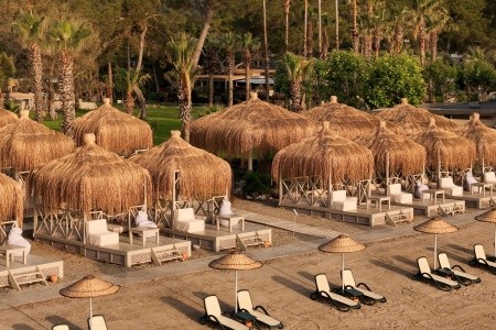 Balmy Foresta (Ex. Paloma Foresta) - 12