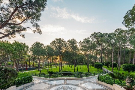 Balmy Foresta (Ex. Paloma Foresta) - 14