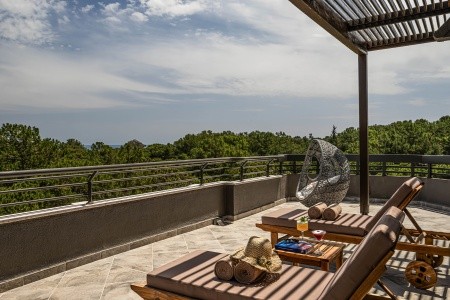 Balmy Foresta (Ex. Paloma Foresta) - 48