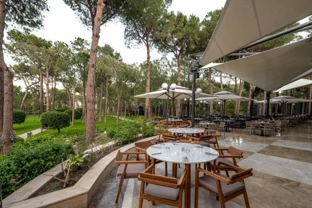 Balmy Foresta (Ex. Paloma Foresta) - 50