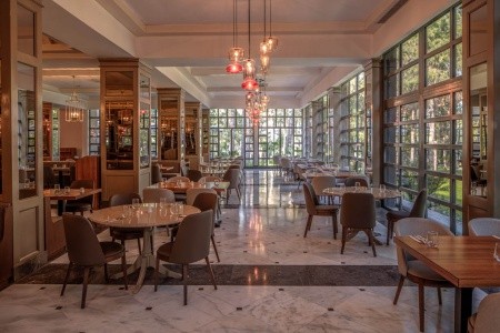 Balmy Foresta (Ex. Paloma Foresta) - 52