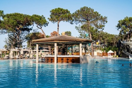 Balmy Foresta (Ex. Paloma Foresta) - 67