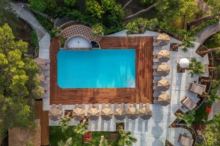 Balmy Foresta (Ex. Paloma Foresta) - 73