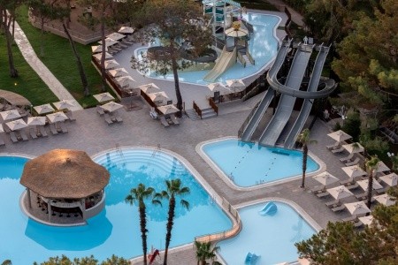 Balmy Foresta (Ex. Paloma Foresta) - 77