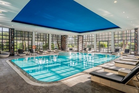 Balmy Foresta (Ex. Paloma Foresta) - 80