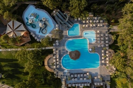 Balmy Foresta (Ex. Paloma Foresta) - 81