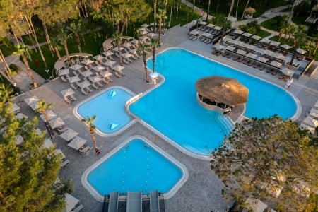 Balmy Foresta (Ex. Paloma Foresta) - 85