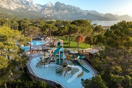 Balmy Foresta (Ex. Paloma Foresta) - 86