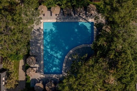 Balmy Foresta (Ex. Paloma Foresta) - 88