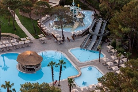 Balmy Foresta (Ex. Paloma Foresta) - 91