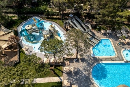 Balmy Foresta (Ex. Paloma Foresta) - 92