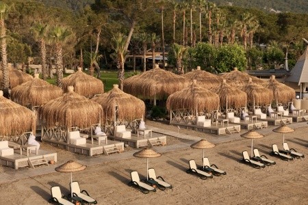 Balmy Foresta (Ex. Paloma Foresta) - 96