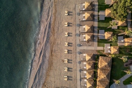 Balmy Foresta (Ex. Paloma Foresta) - 97