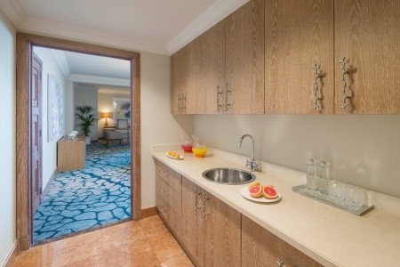 Atlantis The Palm - 16