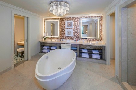 Atlantis The Palm - 18