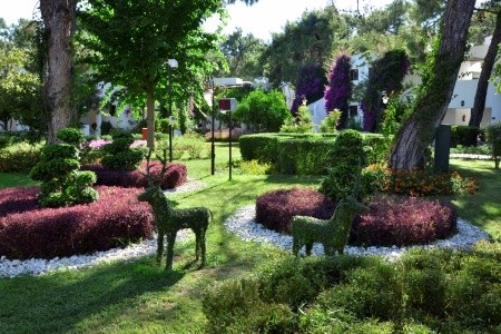 Emelda Sun Club - 17